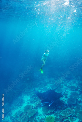 Woman snorkeling with manta ray