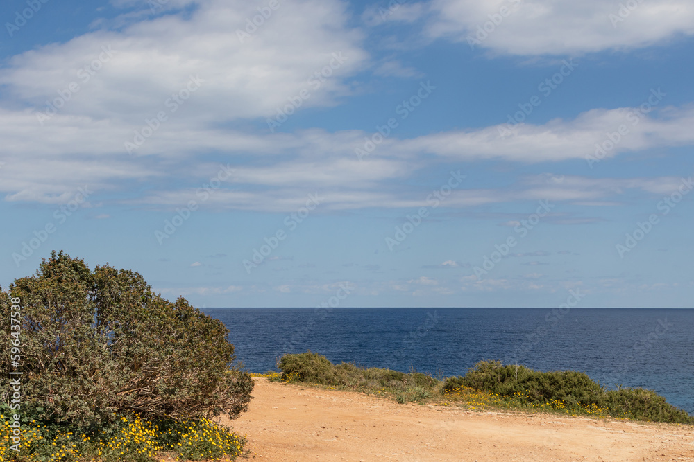 Dirt road on the sea coast in summer. A view of a blue sea with a blue sky in the background