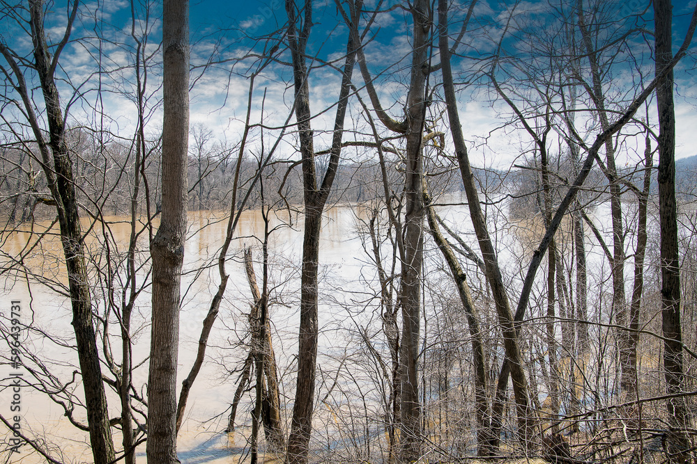 Michigan's Grand River flooding into springtime woodlands Michigan's Grand River flooding into springtime woodlands