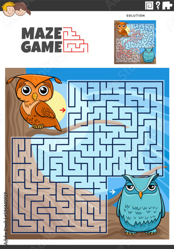 maze game activity with cartoon olws birds animal characters
