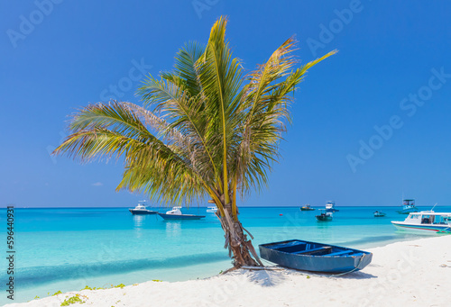 Fototapeta Naklejka Na Ścianę i Meble -  Palm tree and wooden boat on the shore of the Indian Ocean