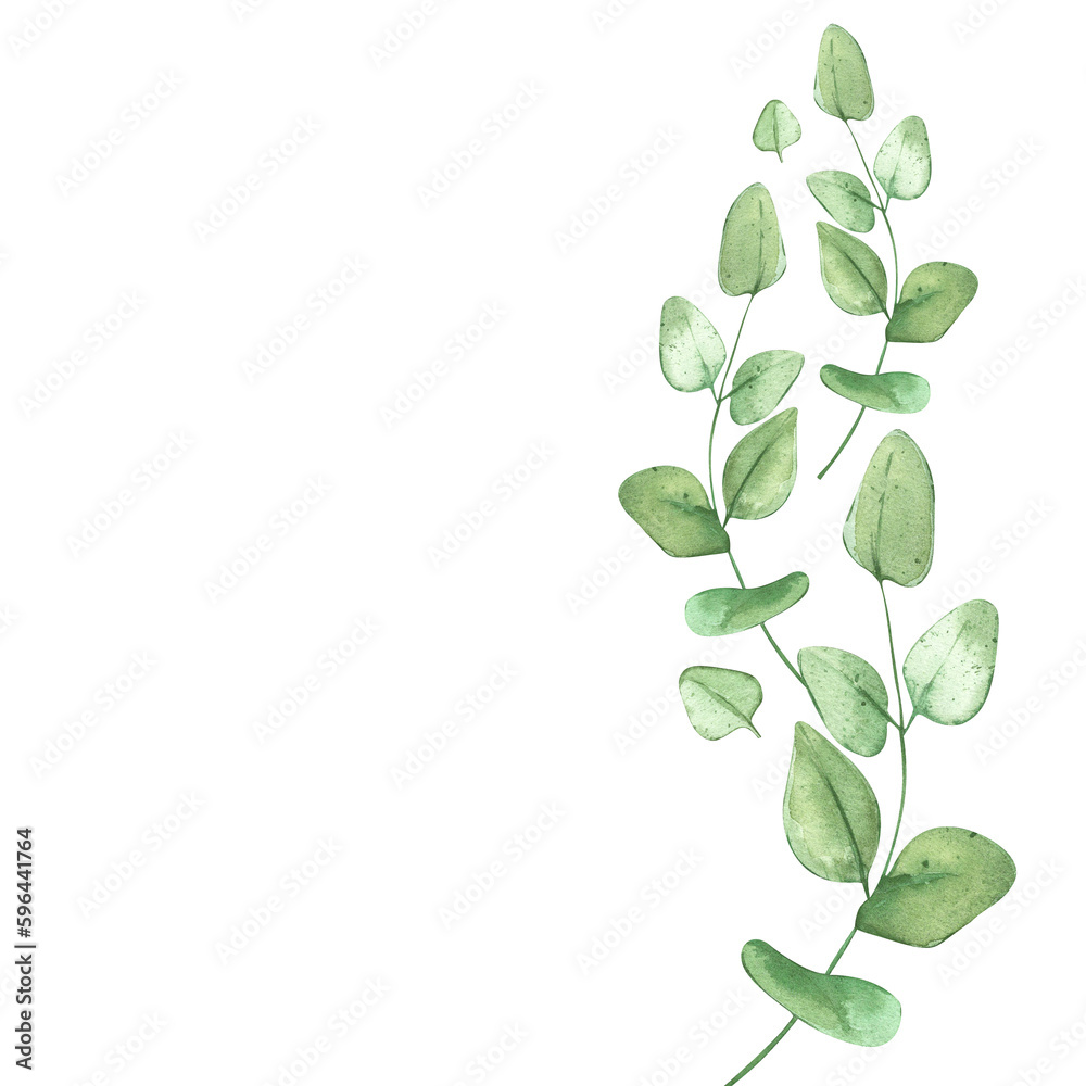 Eucalyptus branches. Green frame for rustic background. For banner design or wedding invitation. Watercolor illustrations with plants. Eucalyptus branches. Green frame for rustic background. For banner design or wedding invitation. Watercolor illustrations with plants.
