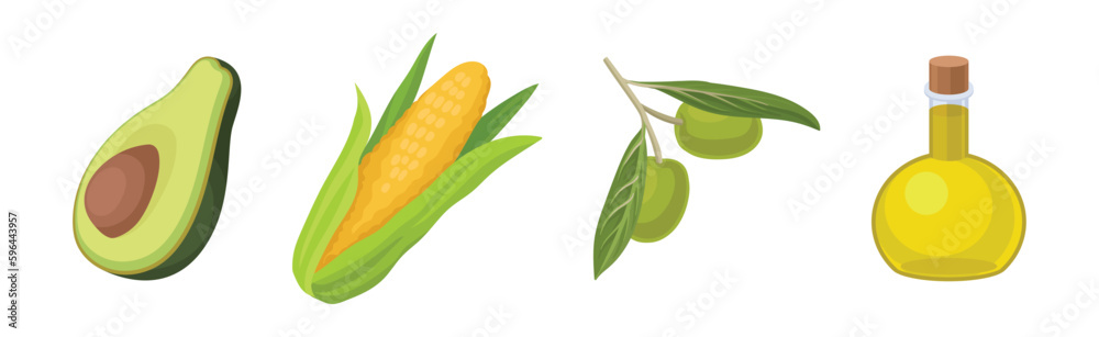 Avocado, Corn Cob, Olive and Oil in Jar Vector Set Avocado, Corn Cob, Olive and Oil in Jar Vector Set