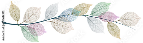 Beautiful background with leaves vein. Vector illustration.
