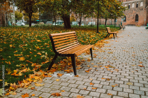 Lonely wooden bench in the autumn city park. Gdansk, Poland. High quality photo