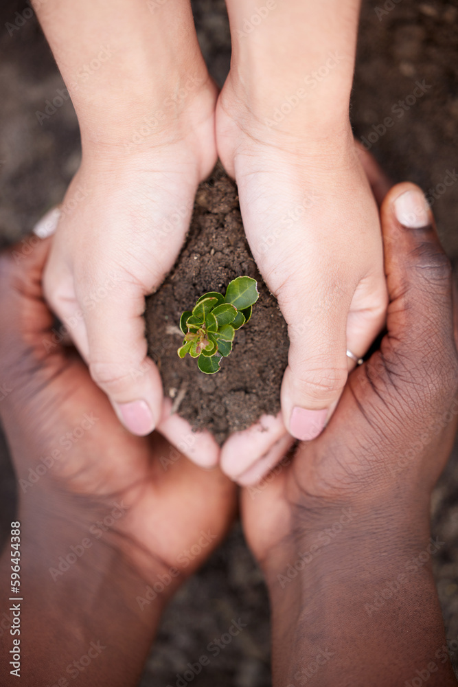 She is like a wildflower beautiful, fierce, and free. Cropped shot of two unrecognisable people holding a plant growing out of soil in nature. She is like a wildflower beautiful, fierce, and free. Cropped shot of two unrecognisable people holding a plant growing out of soil in nature.