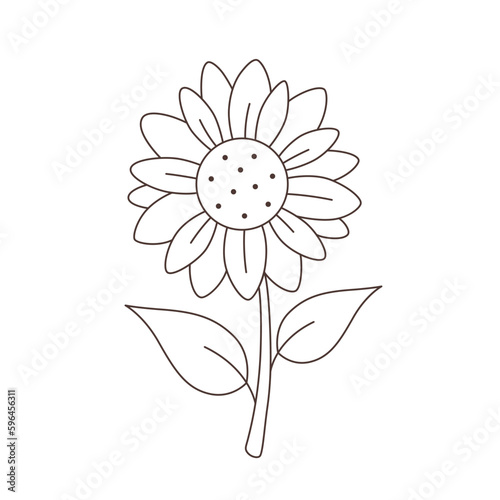 Sunflower outline. Minimalist contour drawing. Vector illustration in flat style