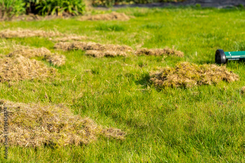 Removing dead grass after winter, spring care of grass, rural garden concept, Debris Left Over by an mechanical Lawn dethatcher, dry grass maintenance. Nature background, climate change photo