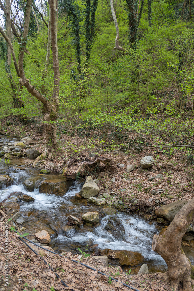 Spring view of Belasitsa Mountain, Bulgaria Spring view of Belasitsa Mountain, Bulgaria
