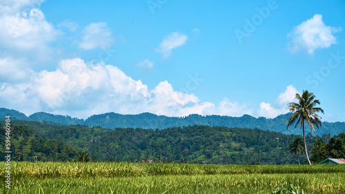 Majestic Mountain and Fresh Green Rice Field View in the Countryside