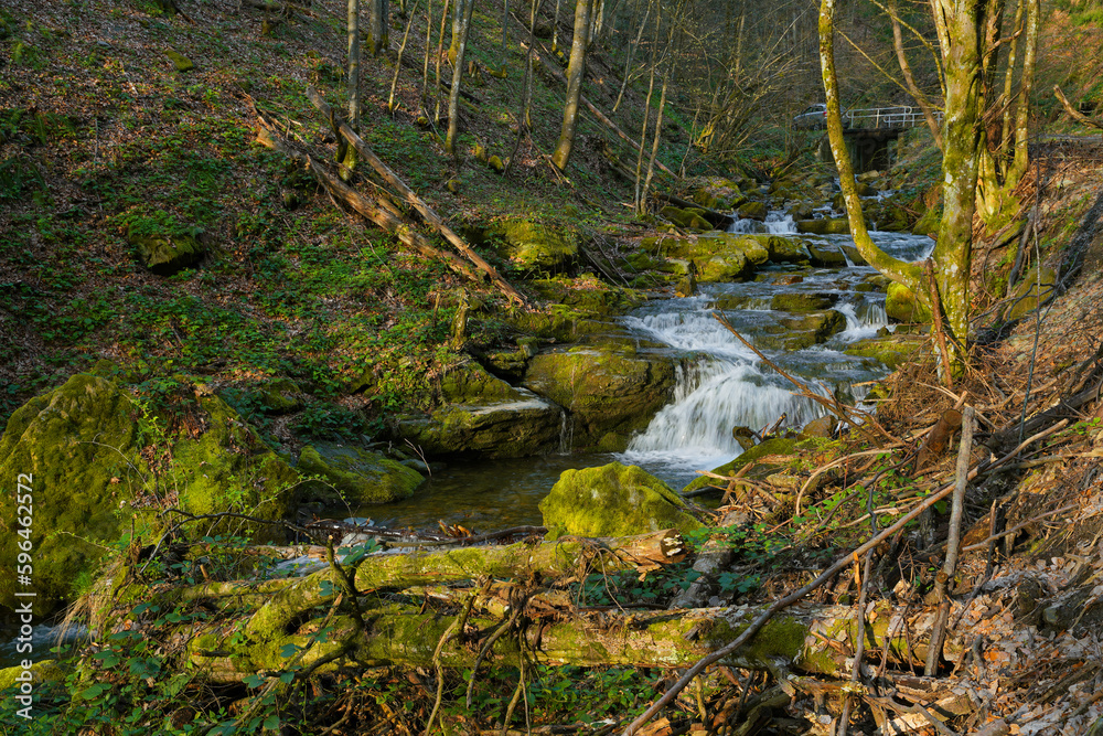 Mountain forest river flows among green mossy stones in the Occidental Carpatians, Transylvania, Romania. Creek in forest. Mountain forest river flows among green mossy stones in the Occidental Carpatians, Transylvania, Romania. Creek in forest.