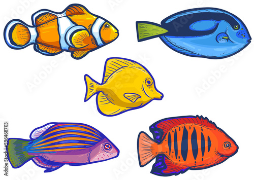 Set of colorful marine fish sticker, vector illustration
