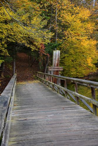 Bridge Leads to Slagle Hollow Knob Trail photo