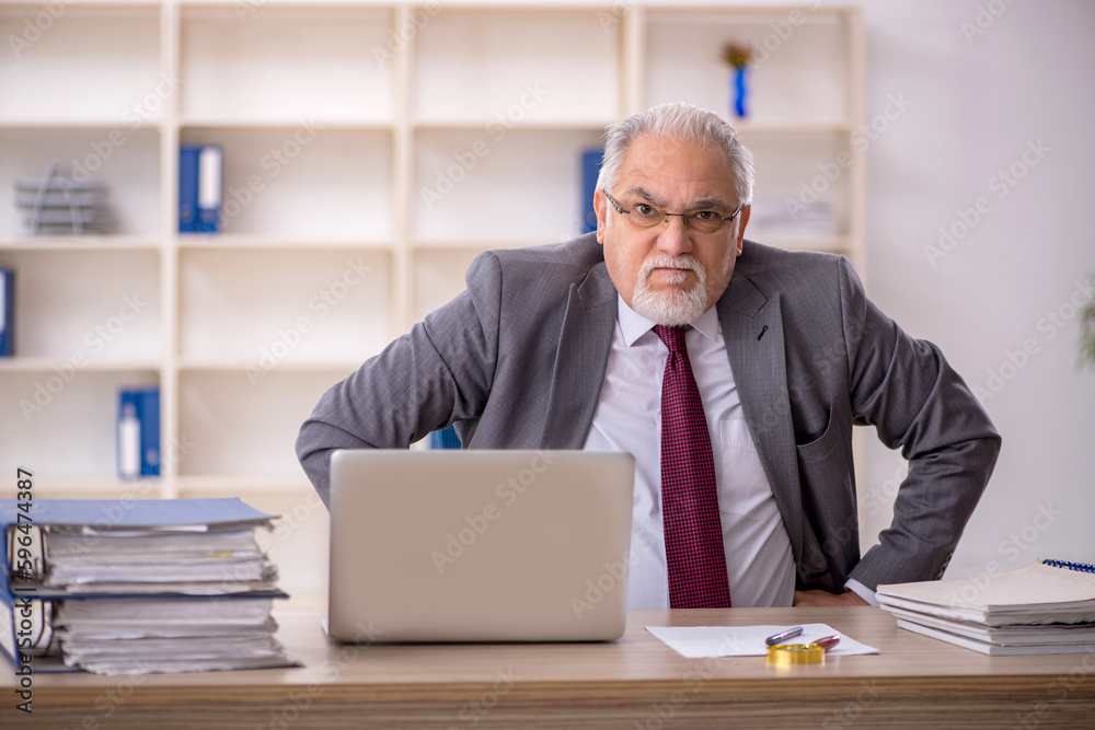 Old male employee working in the office Old male employee working in the office