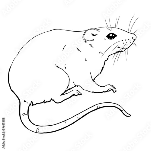 Vector image of a rat in profile with ears, long tail and paws. Line drawing. For printing coloring books, clothes, dishes, business cards and more. Mouse logo. Monochrome. 