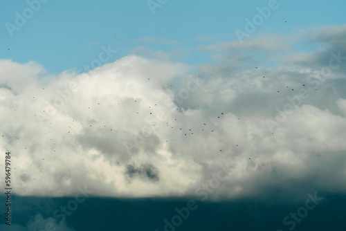 Canvas Print clouds in the sky with birds