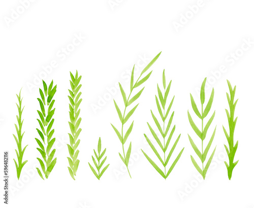 Set of monochrome isolated illustrations of plants and blades of grass. Silhouettes of herbaceous plants in watercolor for your design