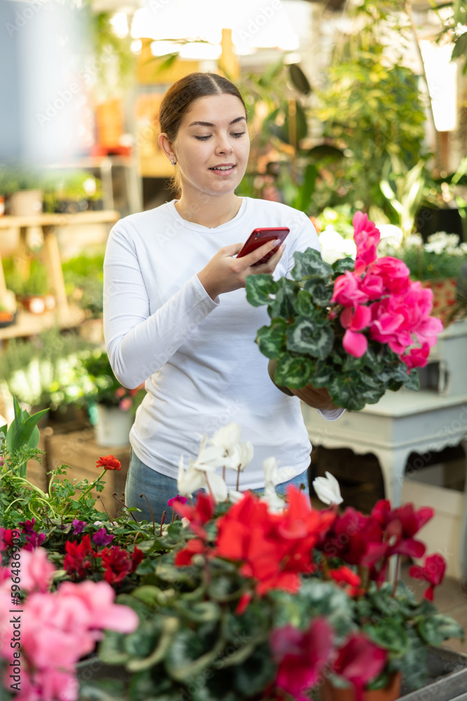 visitor to flower shop scans QR code to learn subtleties of caring for exotic cyclamen