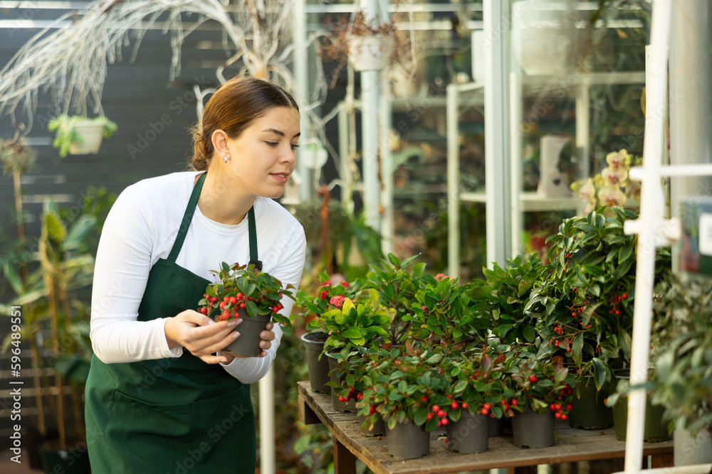 Woman flower seller holding wintergreen in her hands in flower shop