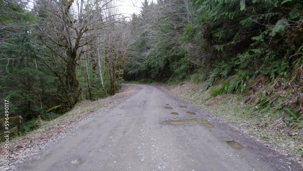 Drone video flying over a dirt forest road in Gifford Pinchot National Park in Washington. Drone video flying over a dirt forest road in Gifford Pinchot National Park in Washington.
