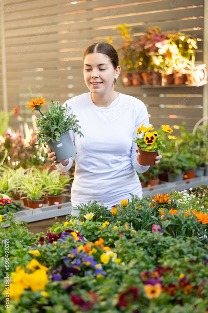 Woman looking to buy potted gazania and cyclamen in container garden shop