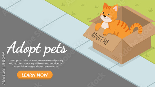 Adopt pets isometric