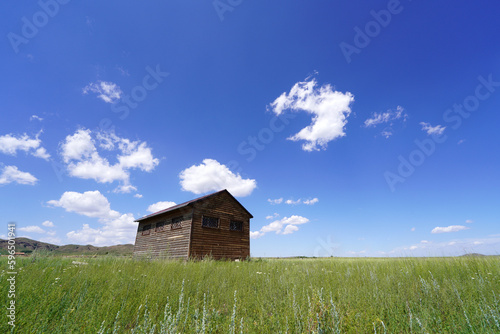 The wooden house is on the grassland, the blue sky and white clouds