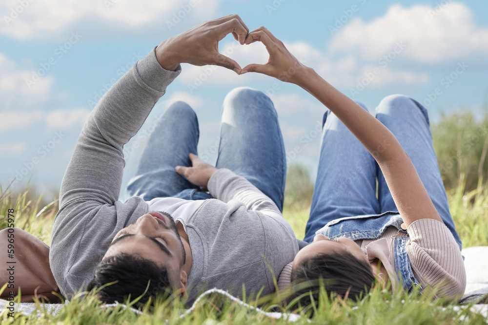 Two halves, one heart. Shot of an affectionate couple out on a picnic. Two halves, one heart. Shot of an affectionate couple out on a picnic.