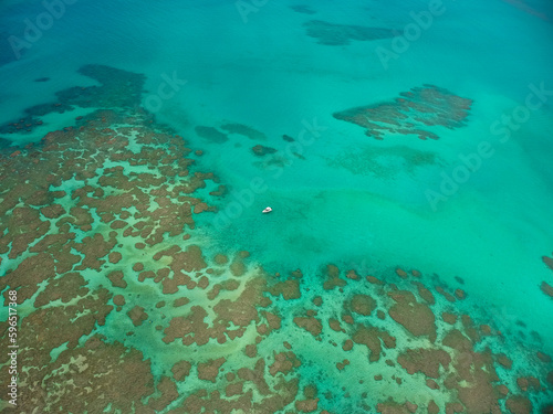 Maragogi  Alagoas. The Brazilian Caribbean. The success of Maragogi is mainly due to its crystalline waters  which at low tide form beautiful natural pools full of small fish. 