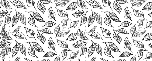 Tropical leaves with veins seamless pattern. Hand drawn outline tropical branches. Botanical seamless banner with simple linear basil leaves. Vector exotic foliage drawn with thin brush.