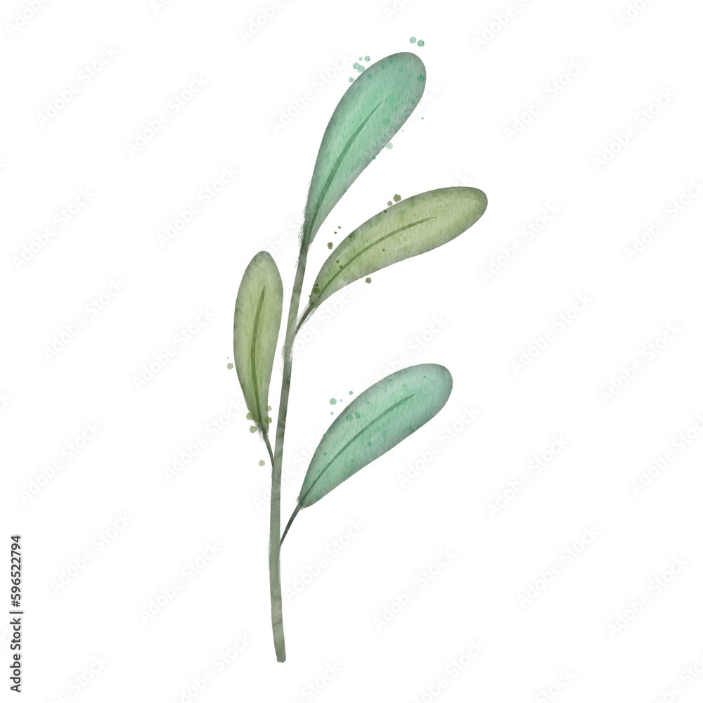 watercolor leaves isolated on white watercolor leaves isolated on white
