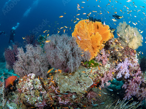 Fototapeta Naklejka Na Ścianę i Meble -  Stunning underwater landscape of coral reef and marine life in Andaman sea, Thailand.