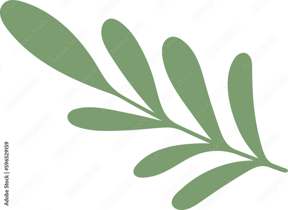 Leaf Illustration