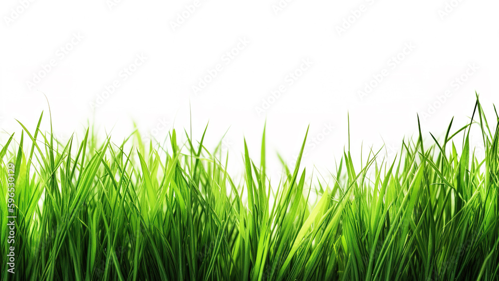Green grass boundary isolated on the white background.
