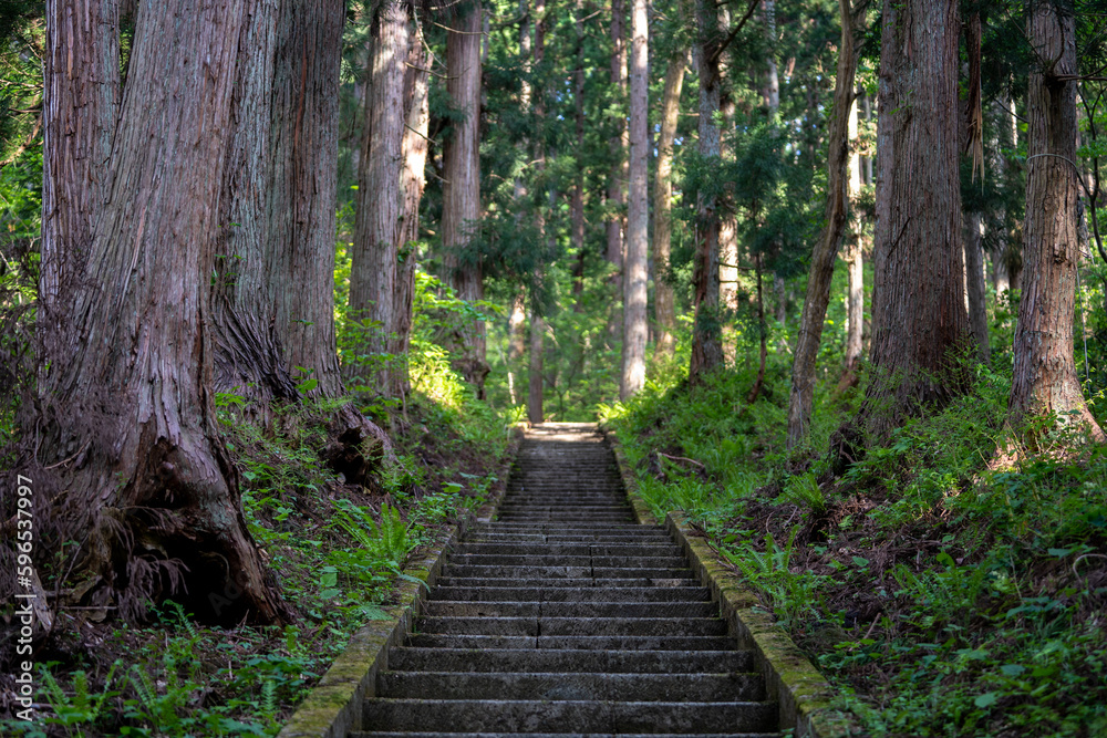 Obraz premium 参道