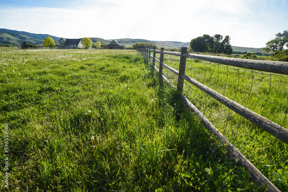 Small Farm Pasture with Fence