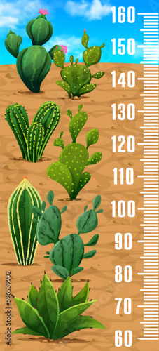 Kids height chart ruler. Mexican prickly cactus succulents in desert vector growth meter scale. Cartoon plants of agave, opuntia and aloe cacti, desert succulents stadiometer or height chart sticker