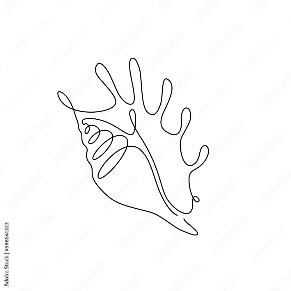 SHELL LINE ART. Vector seashell. Continuous Line Drawing Vector for