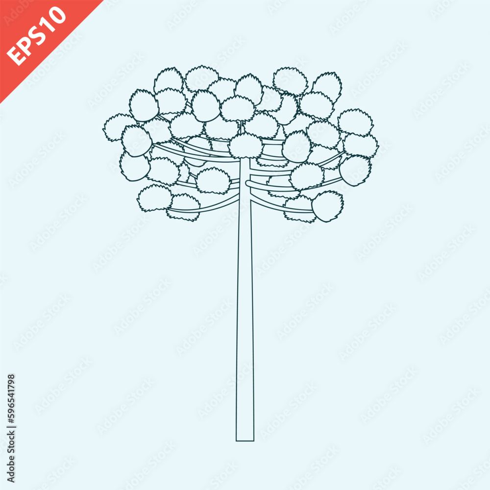 Hand drawn araucaria tree design vector flat isolated illustration