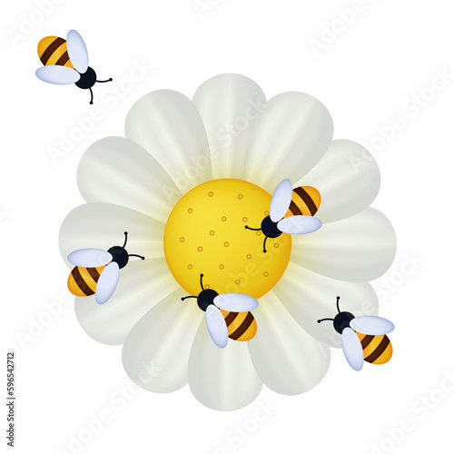 A swarm of bees collects honey in the apiary. The insect pollinates white chamomile, daisy, gerbera flowers. Vector 3d illustration, banner. The concept of the process of teamwork together.