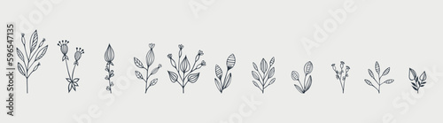 Botanical arts. Hand drawn continuous line drawing of abstract flower  floral  rose  tropical leaves  spring and autumn leaf  bouquet of olives. Vector illustration.