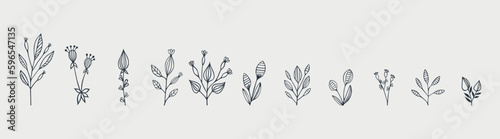 Botanical arts. Hand drawn continuous line drawing of abstract flower, floral, rose, tropical leaves, spring and autumn leaf, bouquet of olives. Vector illustration.