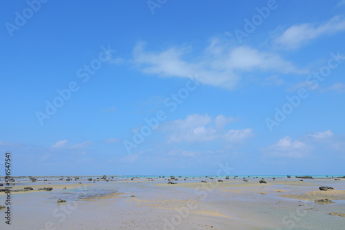 岩が点在する遠浅の海の風景