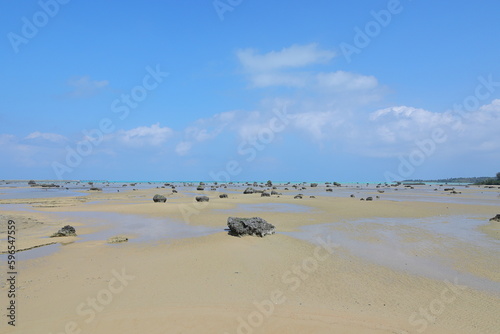 Wallpaper Mural 溶岩席が点在する遠浅の海 Torontodigital.ca