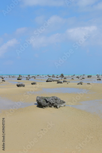 Wallpaper Mural 溶岩席が点在する遠浅の海 Torontodigital.ca