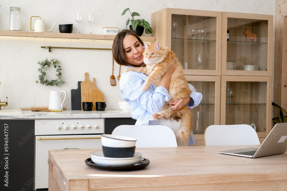 young pregnant woman at home with her red cat. Pet owner at home, young pregnant woman at home with her red cat. Pet owner at home,