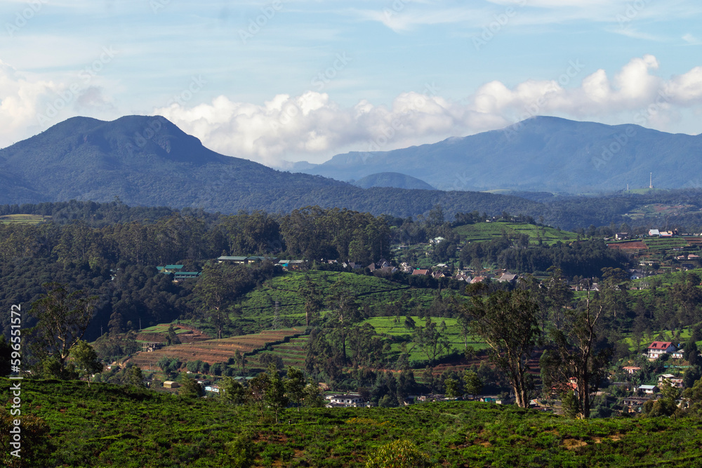 Landscape view of of misty mountains, tea estates of Nuwara Eliya, Sri Lanka