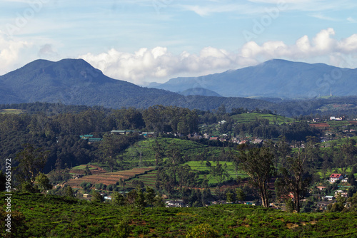 Landscape view of of misty mountains, tea estates of Nuwara Eliya, Sri Lanka