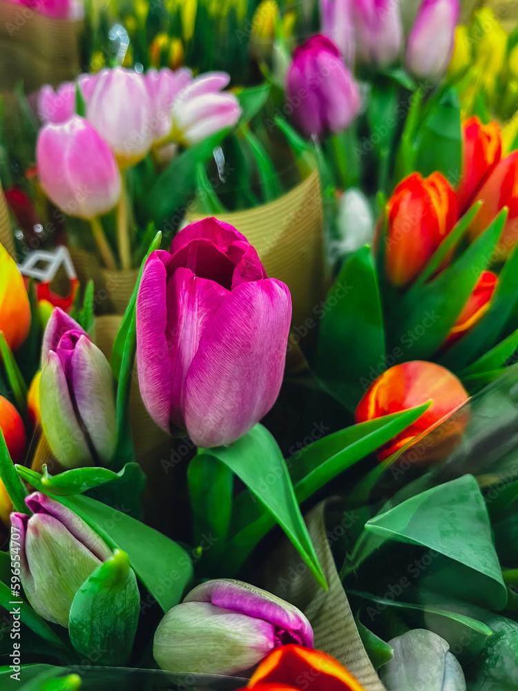 Set of bouquets of tulips of different colors, tulips bouquet. Present for March 8, International Women's Day. Holiday decor with flowers selling. Bouquet with colorful tulips. Holiday floral decor Set of bouquets of tulips of different colors, tulips bouquet. Present for March 8, International Women's Day. Holiday decor with flowers selling. Bouquet with colorful tulips. Holiday floral decor