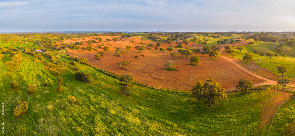 Aerial view over rural landscape with rolling hills, fields and Olive trees at sunset in the south of Portugal, Parque Natural do Vale do Guadiana